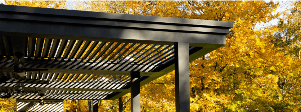 Essential Pergola Maintenance Tips: The Year-Round Care Calendar