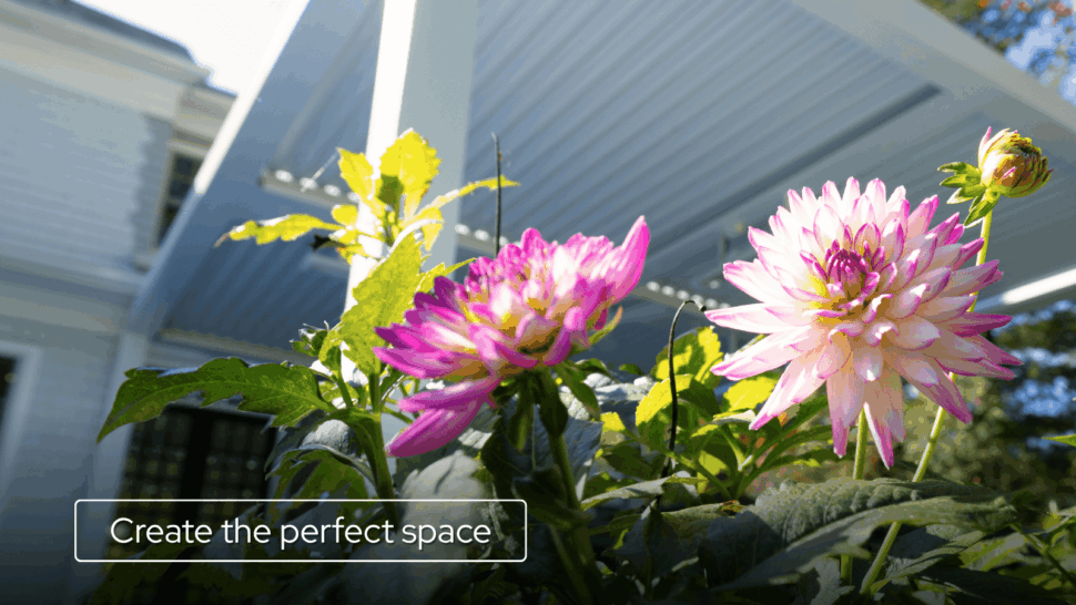 Essential Pergola Maintenance Tips, white pergola with flowers