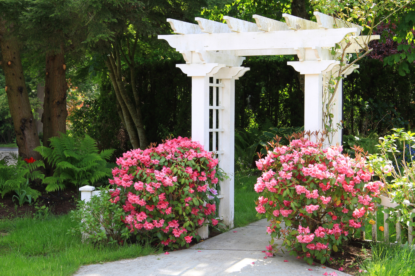 An arbor over an outdoor garden path.