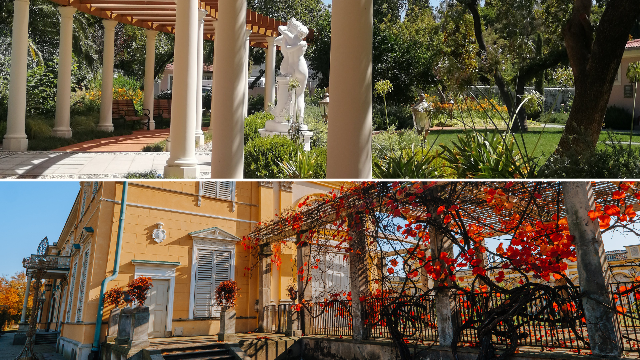 Comparison of pergola materials