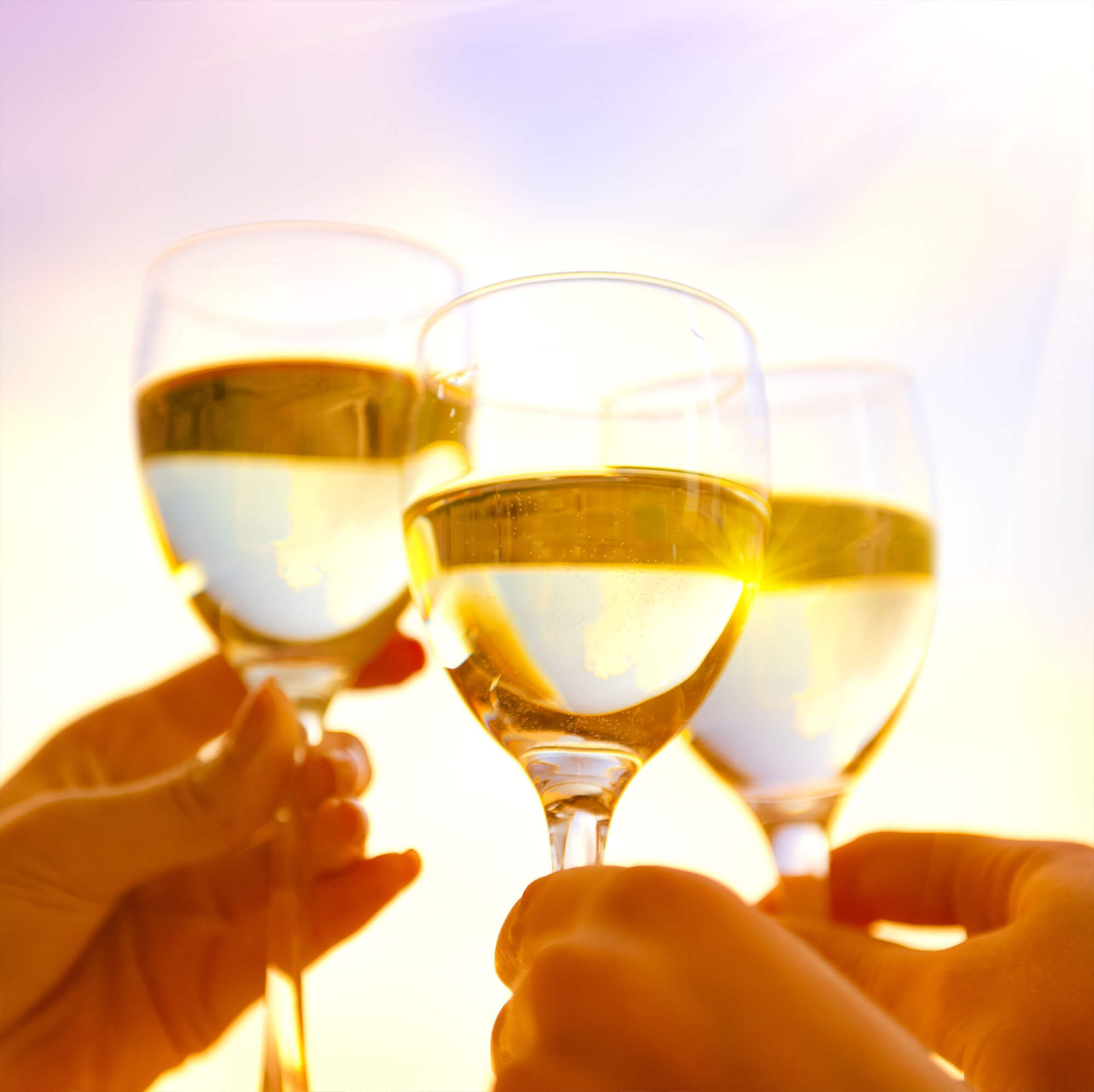 Raising wine glasses to the sky