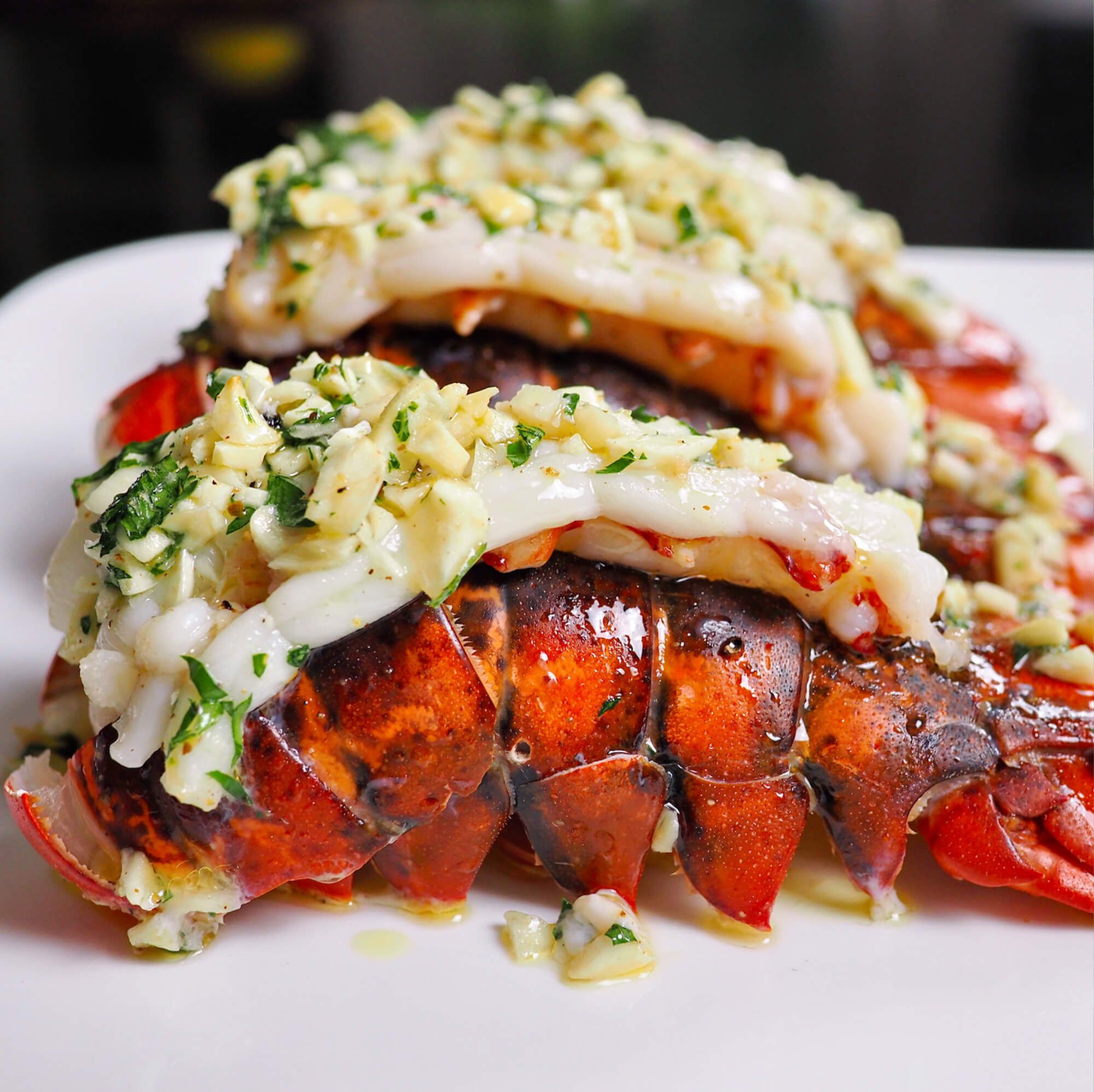 lobster close up image