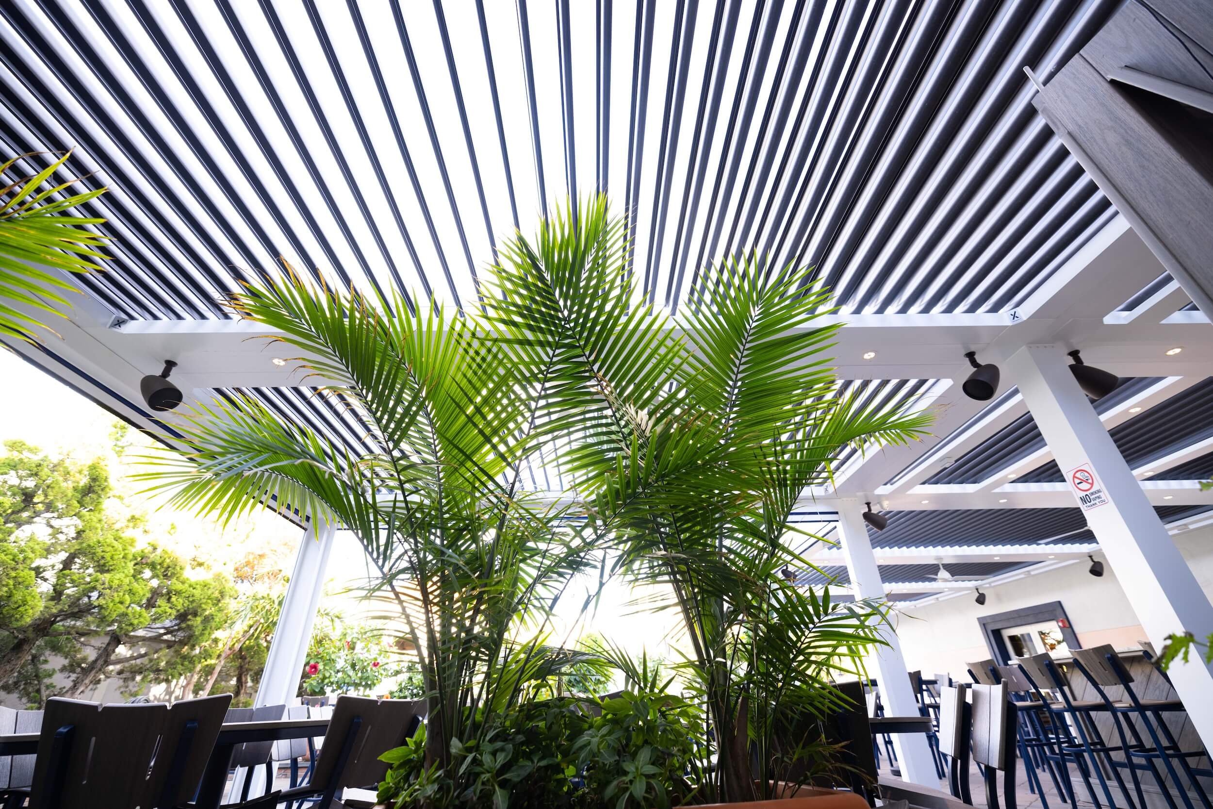 Under a white Pivot 6 XL Pergola