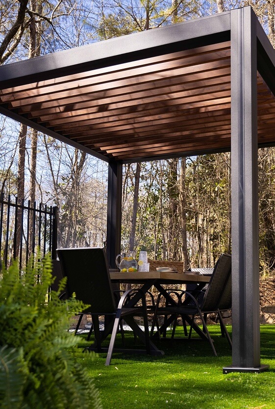 Black and Bronze Cabana X in woods