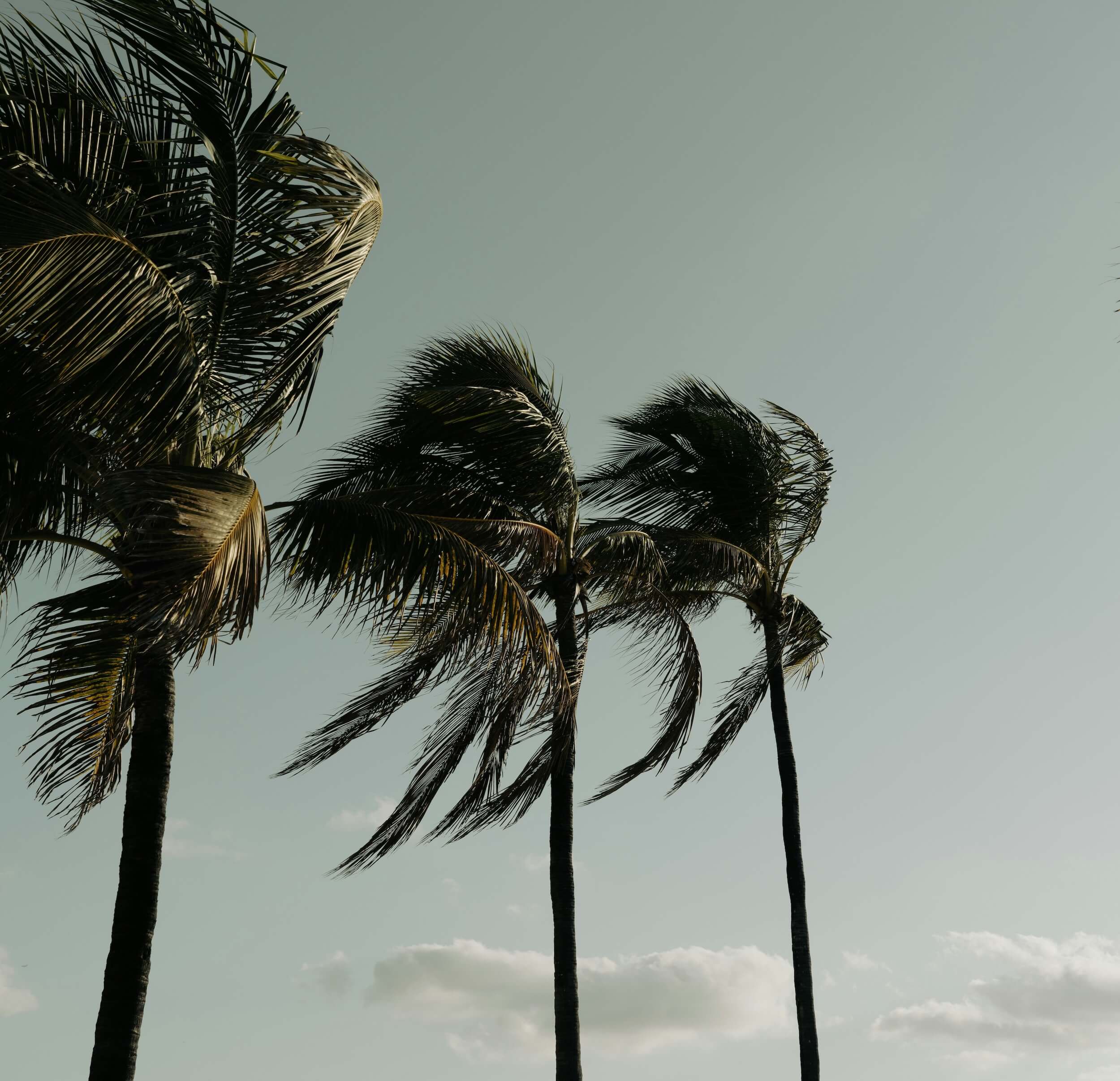 Wind Sensors