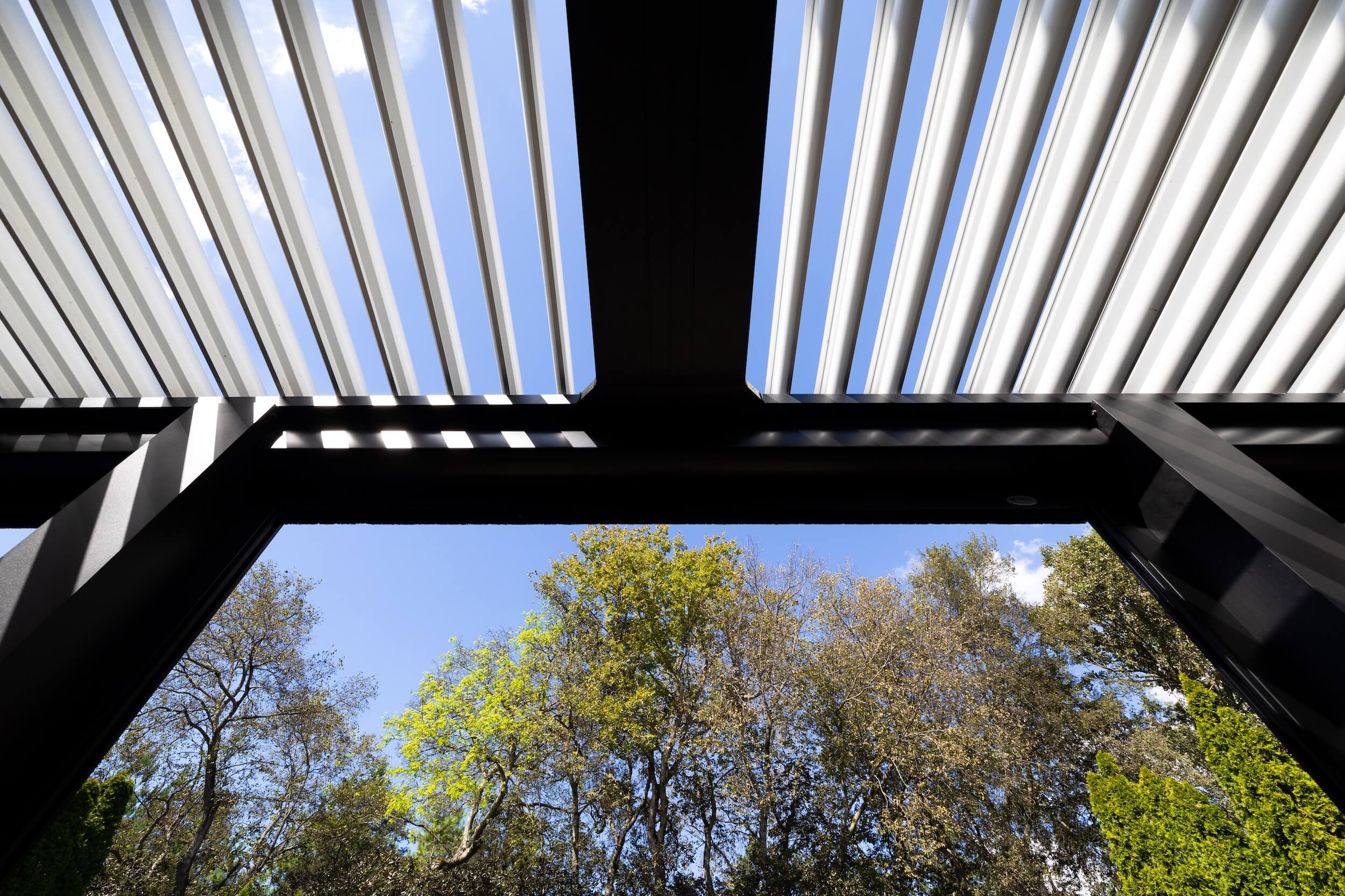 View from underneath a Pergola
