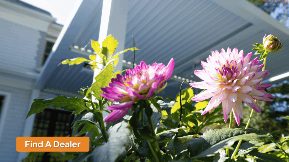 Majestic Outdoor - New Jersey - White Pergola with Flowers