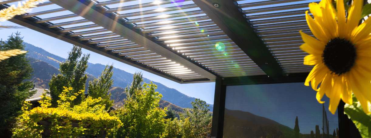 Weather the Elements: How Pergola X Endures Any Forecast