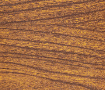 Elm woodgrain